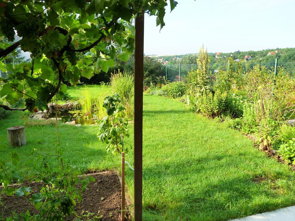 Homestay Vinohrady 73 Znojmo